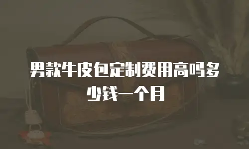 男款牛皮包定制费用高吗多少钱一个月