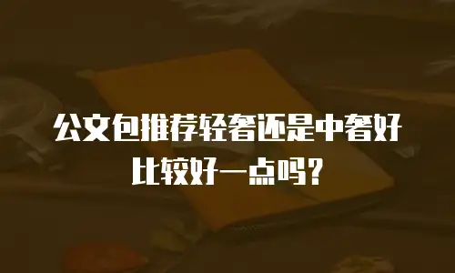 公文包推荐轻奢还是中奢好比较好一点吗？