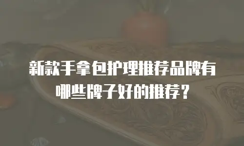 新款手拿包护理推荐品牌有哪些牌子好的推荐？