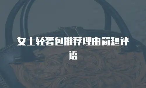 女士轻奢包推荐理由简短评语