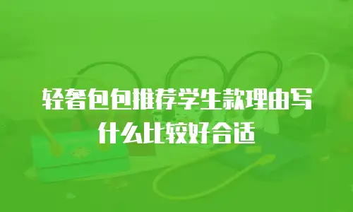 轻奢包包推荐学生款理由写什么比较好合适