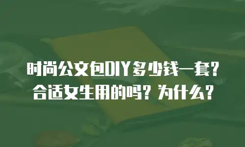 时尚公文包DIY多少钱一套？合适女生用的吗？为什么？