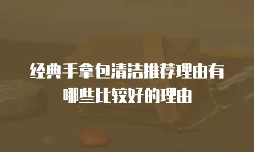 经典手拿包清洁推荐理由有哪些比较好的理由