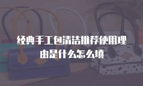 经典手工包清洁推荐使用理由是什么怎么填