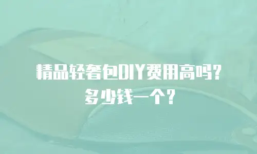 精品轻奢包DIY费用高吗？多少钱一个？