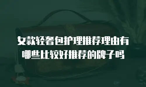 女款轻奢包护理推荐理由有哪些比较好推荐的牌子吗