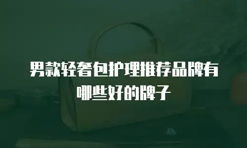 男款轻奢包护理推荐品牌有哪些好的牌子