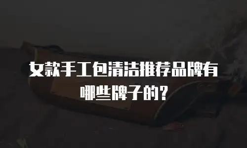 女款手工包清洁推荐品牌有哪些牌子的？