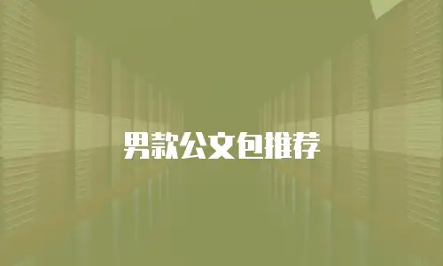男款公文包推荐