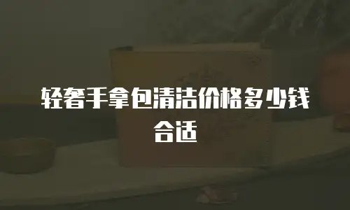 轻奢手拿包清洁价格多少钱合适