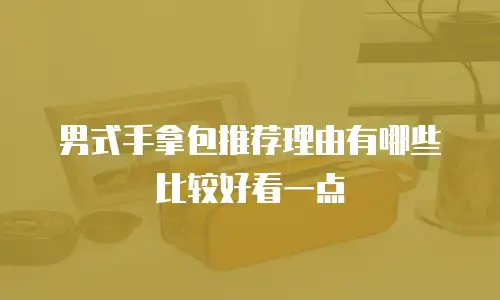 男式手拿包推荐理由有哪些比较好看一点