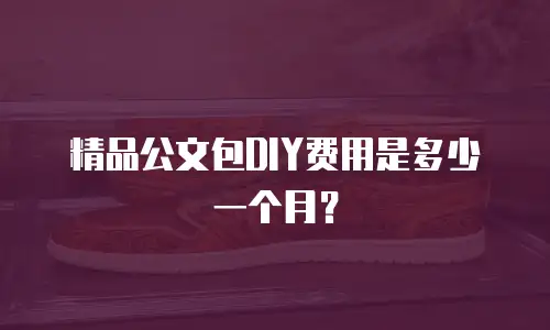 精品公文包DIY费用是多少一个月？
