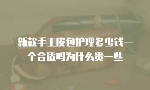 新款手工皮包护理多少钱一个合适吗为什么贵一些