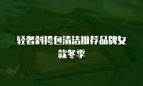轻奢斜挎包清洁推荐品牌女款冬季