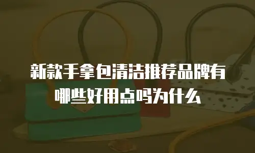 新款手拿包清洁推荐品牌有哪些好用点吗为什么