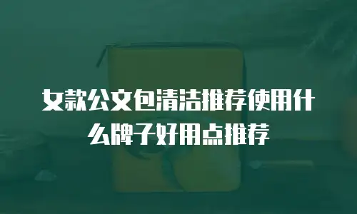 女款公文包清洁推荐使用什么牌子好用点推荐