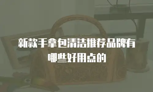 新款手拿包清洁推荐品牌有哪些好用点的