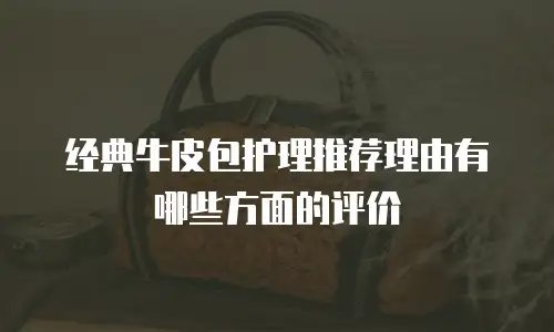 经典牛皮包护理推荐理由有哪些方面的评价