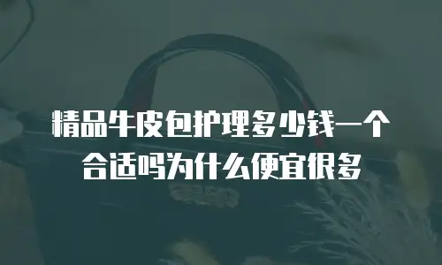 精品牛皮包护理多少钱一个合适吗为什么便宜很多