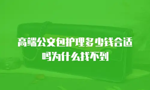 高端公文包护理多少钱合适吗为什么找不到