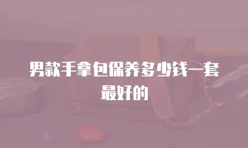 男款手拿包保养多少钱一套最好的