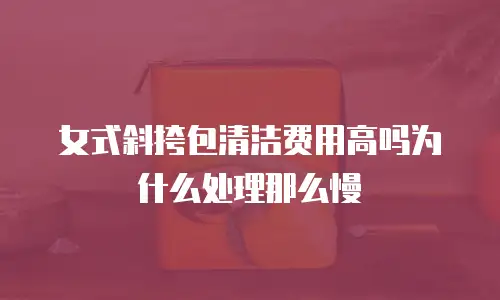 女式斜挎包清洁费用高吗为什么处理那么慢