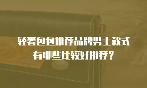 轻奢包包推荐品牌男士款式有哪些比较好推荐？