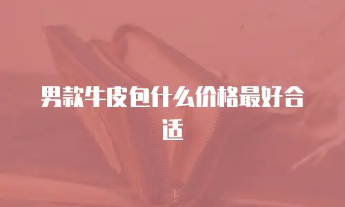 男款牛皮包什么价格最好合适