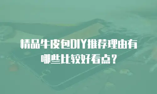 精品牛皮包DIY推荐理由有哪些比较好看点？