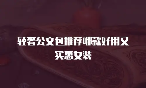 轻奢公文包推荐哪款好用又实惠女装