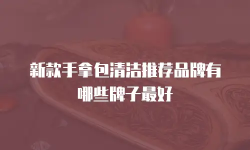 新款手拿包清洁推荐品牌有哪些牌子最好