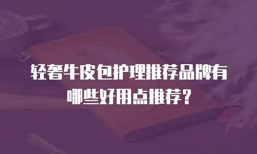 轻奢牛皮包护理推荐品牌有哪些好用点推荐？