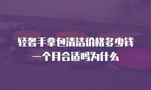 轻奢手拿包清洁价格多少钱一个月合适吗为什么