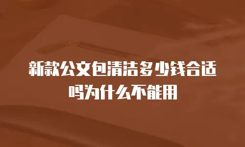 新款公文包清洁多少钱合适吗为什么不能用