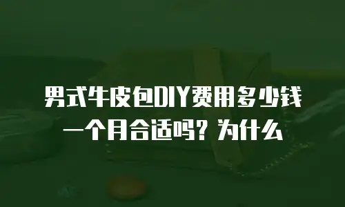 男式牛皮包DIY费用多少钱一个月合适吗？为什么