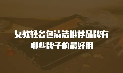 女款轻奢包清洁推荐品牌有哪些牌子的最好用