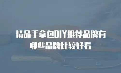 精品手拿包DIY推荐品牌有哪些品牌比较好看