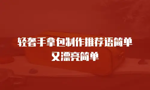 轻奢手拿包制作推荐语简单又漂亮简单