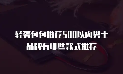 轻奢包包推荐500以内男士品牌有哪些款式推荐