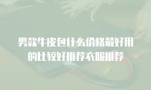 男款牛皮包什么价格最好用的比较好推荐衣服推荐