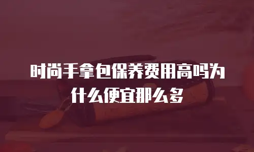 时尚手拿包保养费用高吗为什么便宜那么多