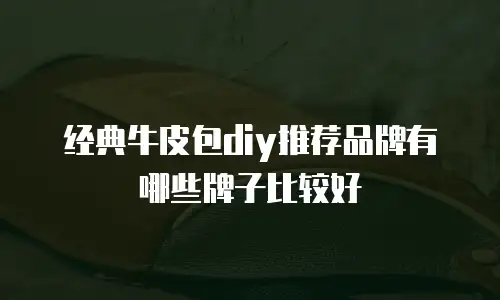 经典牛皮包diy推荐品牌有哪些牌子比较好