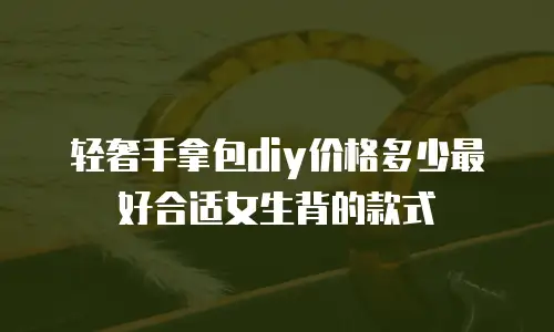 轻奢手拿包diy价格多少最好合适女生背的款式