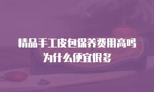 精品手工皮包保养费用高吗为什么便宜很多
