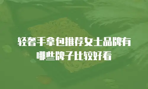 轻奢手拿包推荐女士品牌有哪些牌子比较好看