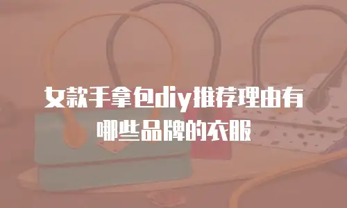 女款手拿包diy推荐理由有哪些品牌的衣服
