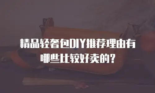 精品轻奢包DIY推荐理由有哪些比较好卖的？