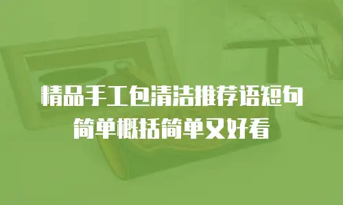 精品手工包清洁推荐语短句简单概括简单又好看