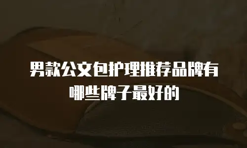 男款公文包护理推荐品牌有哪些牌子最好的