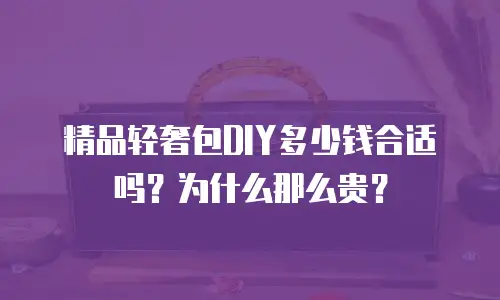 精品轻奢包DIY多少钱合适吗？为什么那么贵？